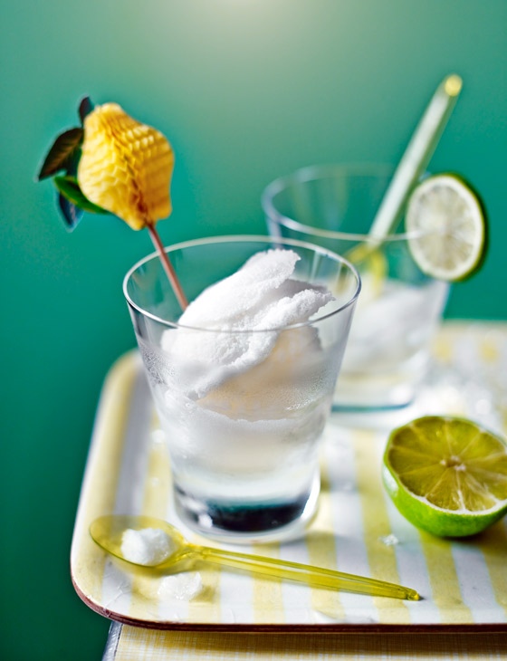 Gin and tonic sorbet ice cream machine deals