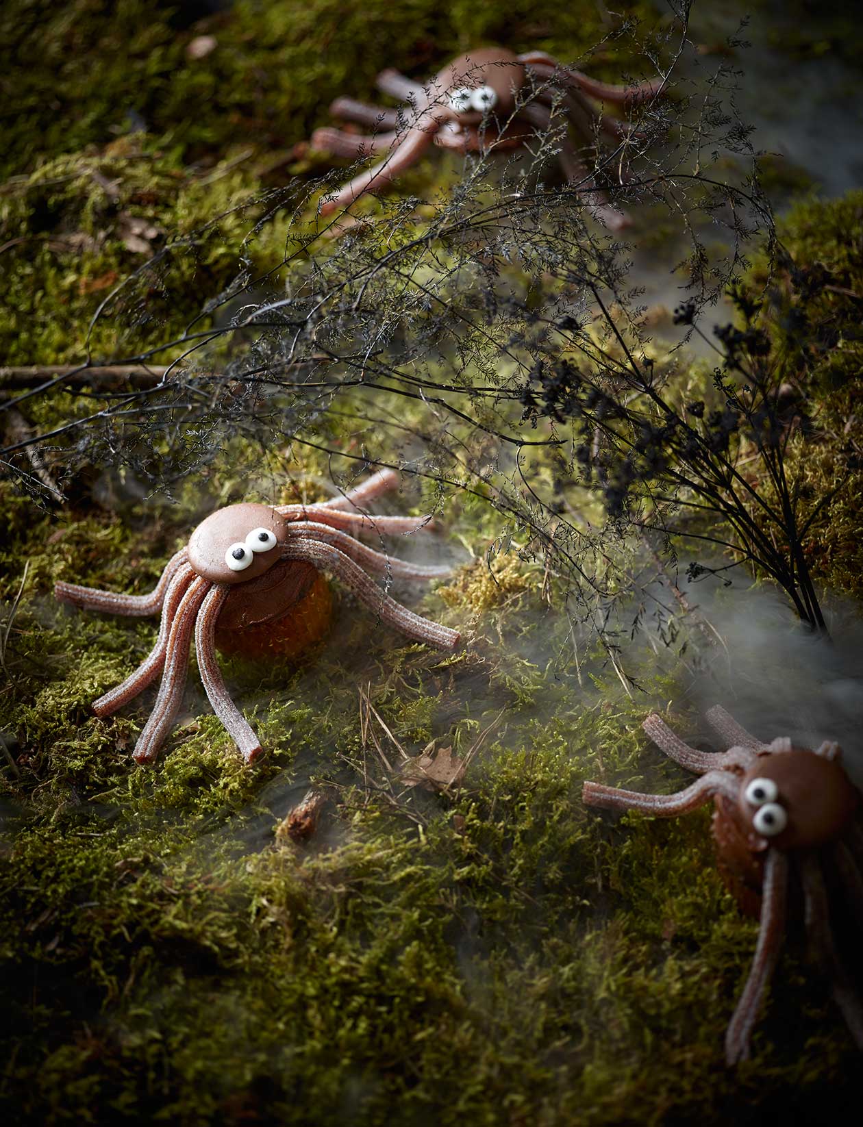 Cola spider cupcakes recipe | Sainsbury`s Magazine