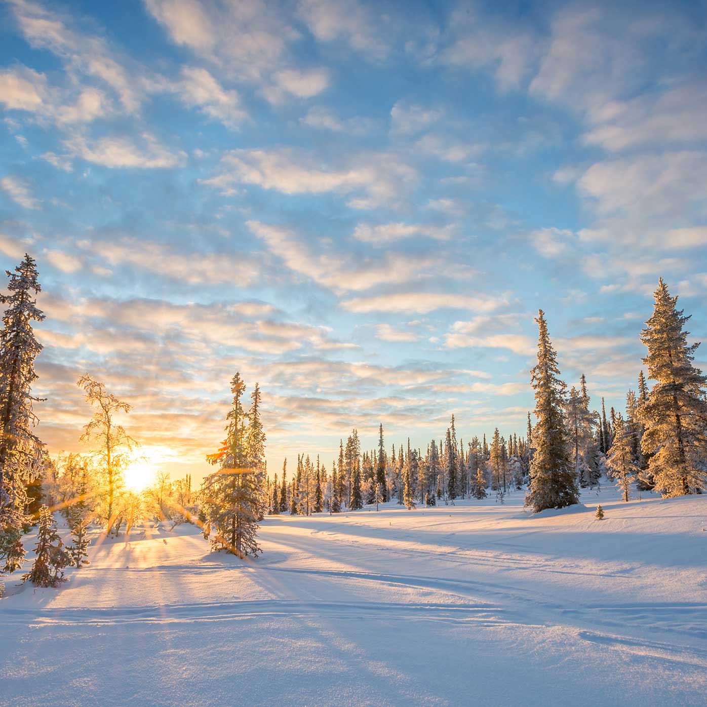 Celebrating New Year's Eve in Lapland Sainsbury`s Magazine