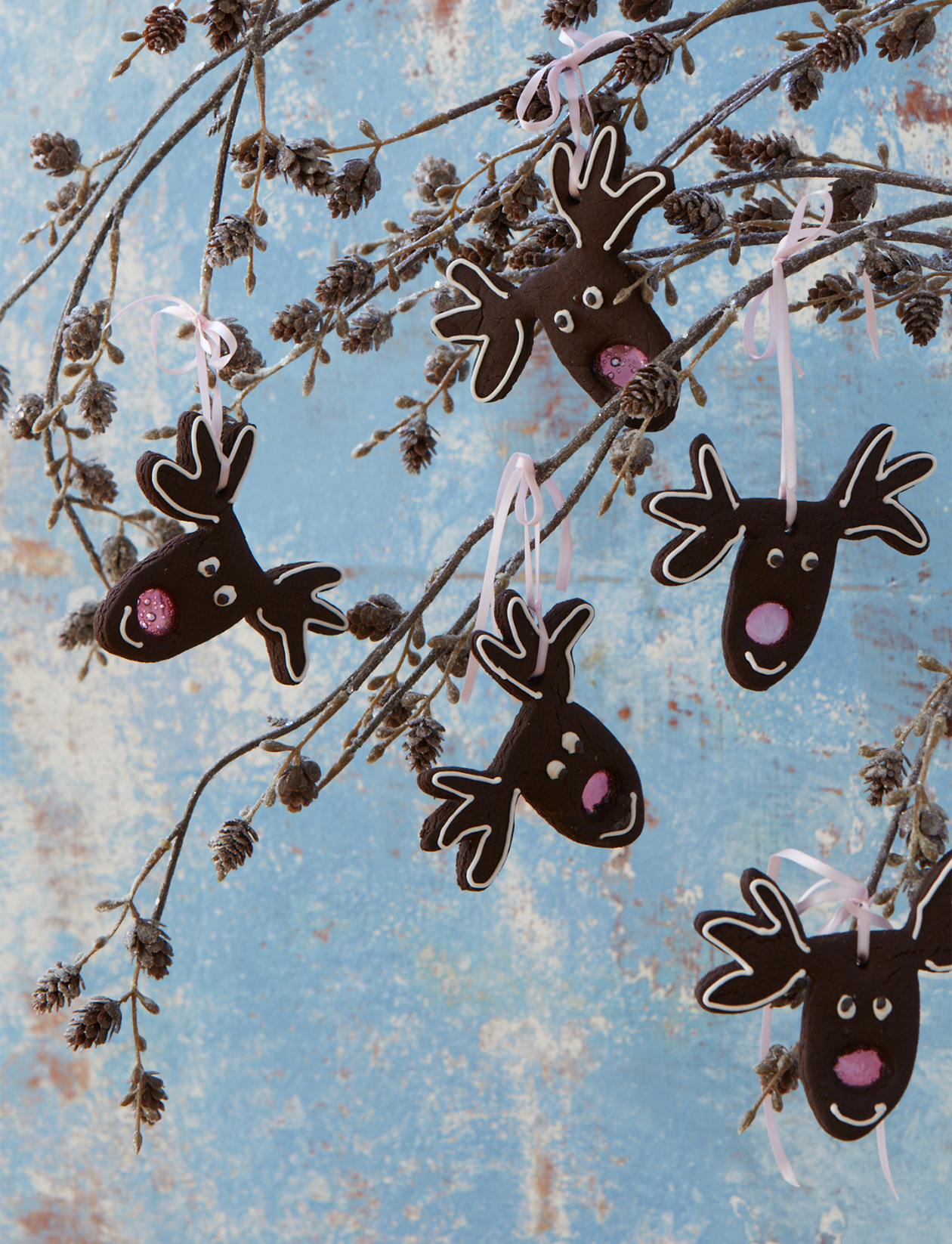 ‘Rudolph’ chocolate gingerbread biscuits recipe | Sainsbury`s Magazine