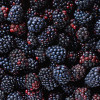 In season: what to cook and eat in September