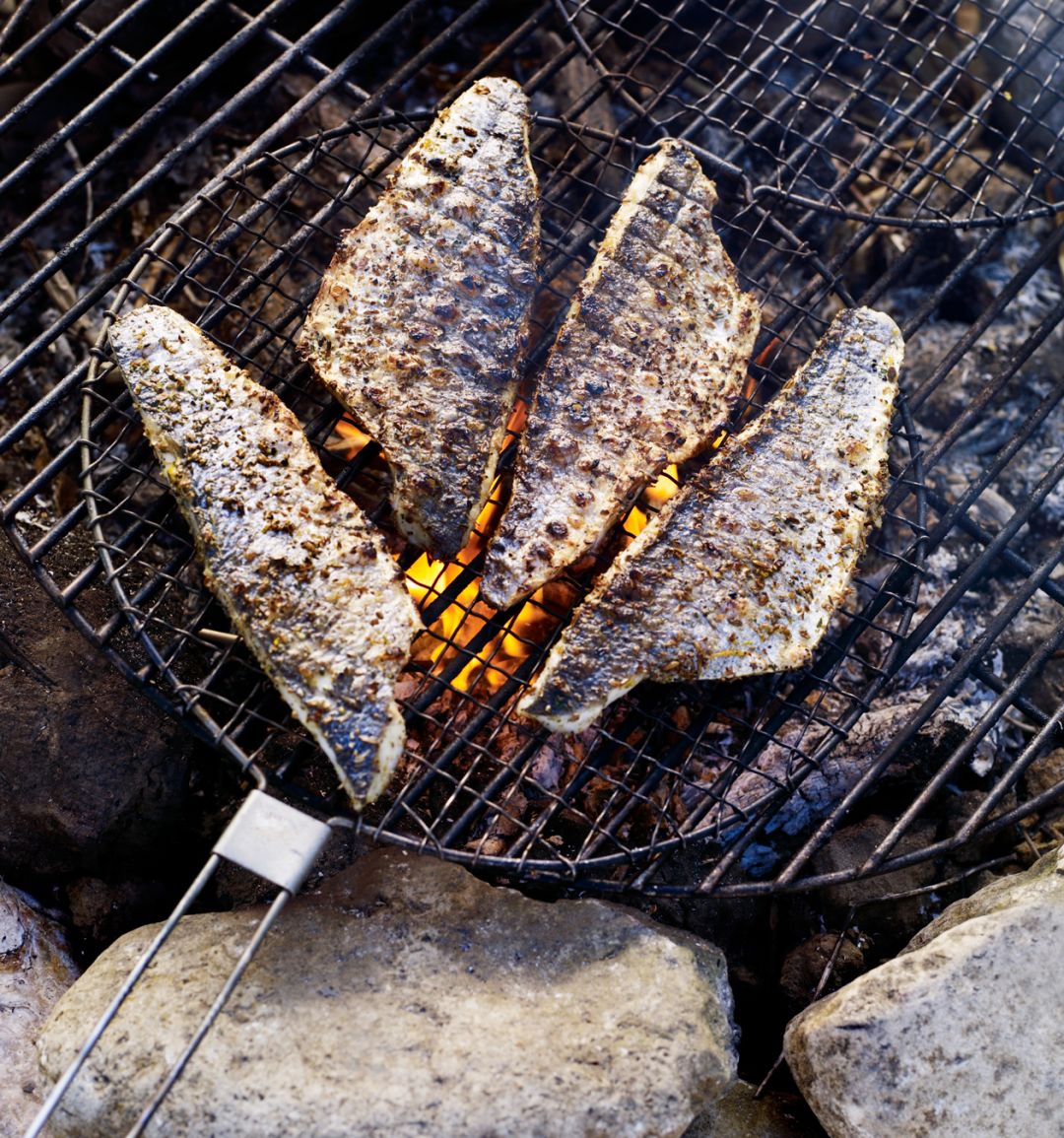 Campfire roast fish with lemon and fennel