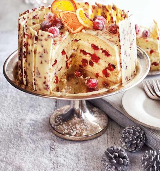 Orange, cranberry and white chocolate gateau 