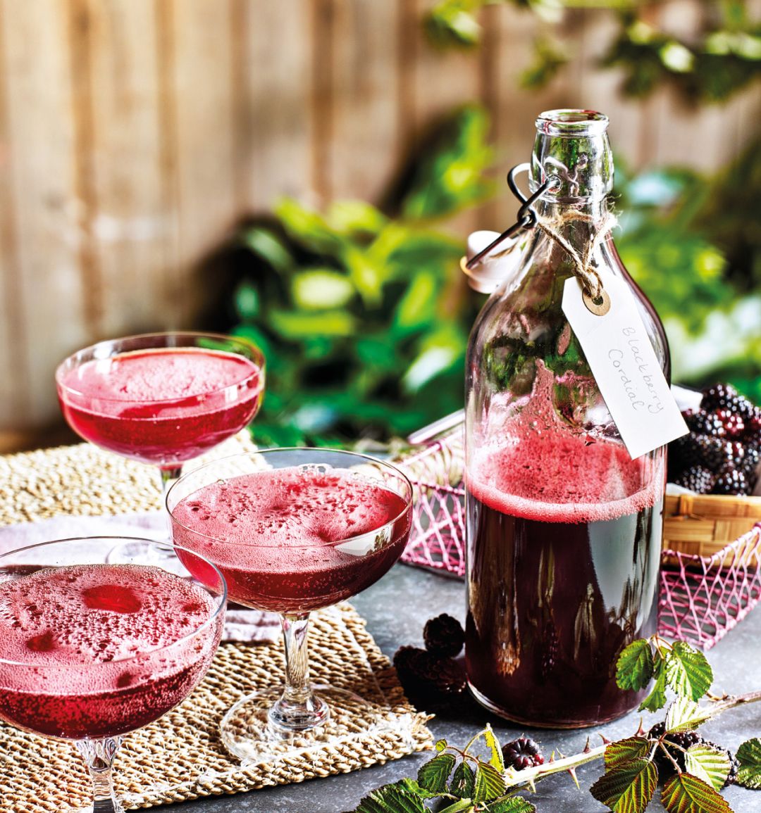 Blackberry fizz cocktail 