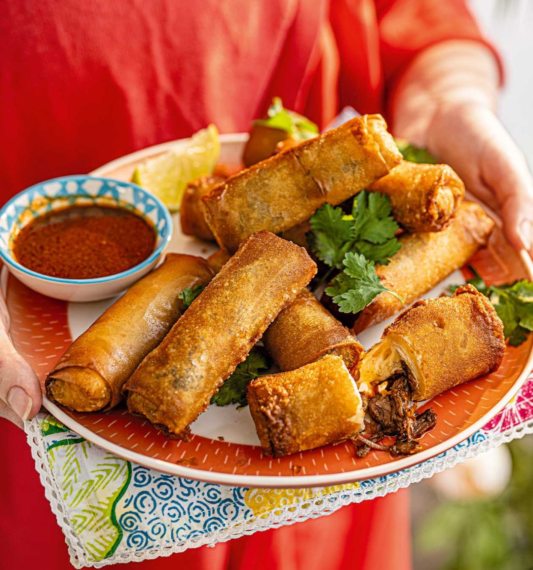 Birria spring rolls