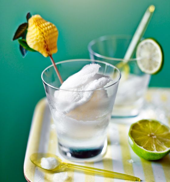 Gin and tonic sorbet with lime 