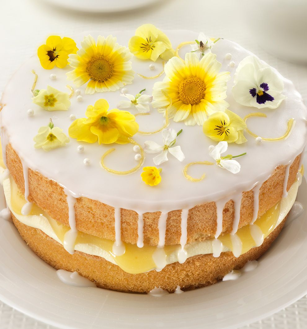 Lemon and elderflower drizzle cake