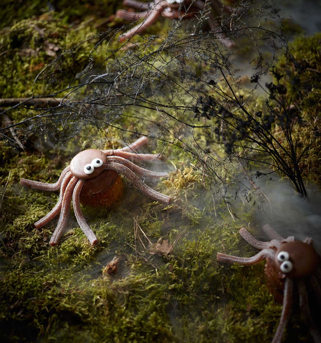 Cola spider cupcakes