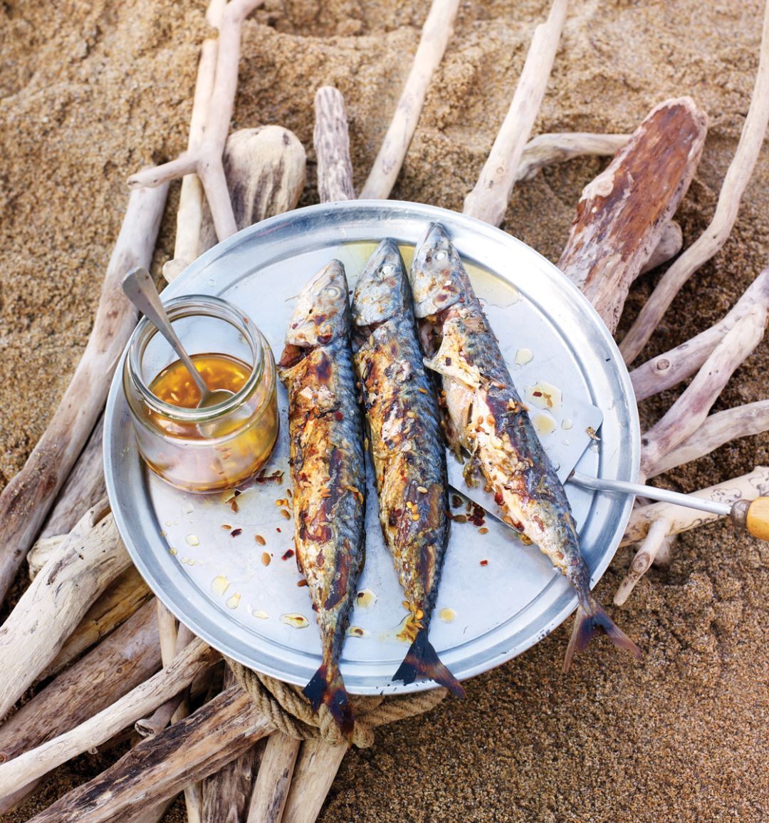 Barbecued mackerel with toasted fennel and chilli