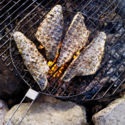 CAMPFIRE ROAST FISH WITH LEMON AND FENNEL