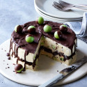 Mint drizzle ice cream cake