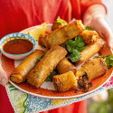 Birria Spring Rolls