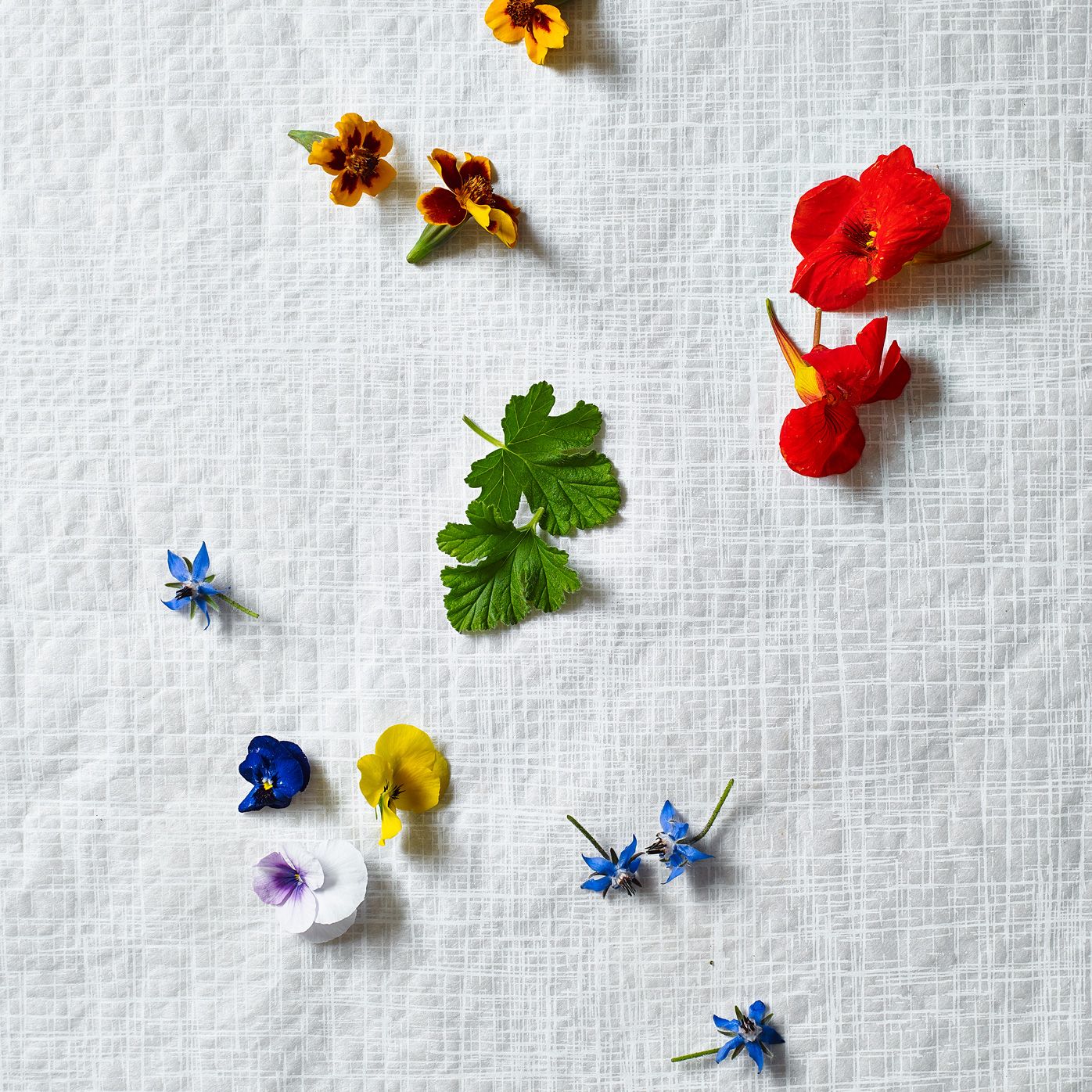 Cooking with edible flowers Sainsbury's Magazine