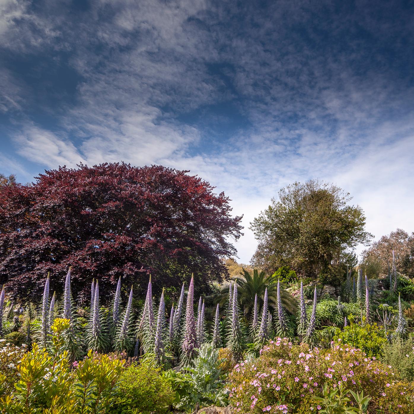 The best botanical gardens in the UK Sainsbury's Magazine