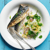 Roasted mackerel with fennel, red onion and apricot salad