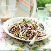 Japanese chicken coleslaw with ginger almond dressing