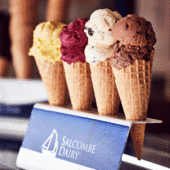 Summer holidays 2025 events… by the coast