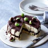 Mint drizzle ice cream cake with brownie layers