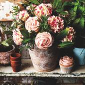 Cupcake flowerpot bouquet