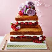 Naked citrus, raspberry and coconut celebration cake
