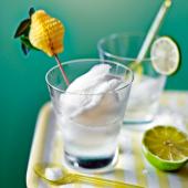 Gin and tonic sorbet with lime 