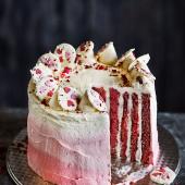 White chocolate, raspberry and coconut gateau