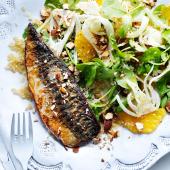 Mackerel with fennel and orange salad