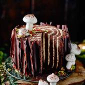 DUPLICATE stump cake UNPUBLISHED 