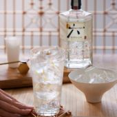 Sponsored: Roku Gin & Tonic with Ginger