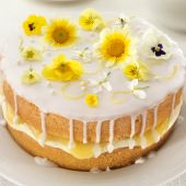 Lemon and elderflower drizzle cake