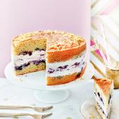 Lemon blueberry cheesecake