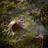 Cola spider cupcakes