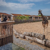 Staycation: sleep alongside the animals at The Reserve at Chester Zoo