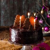 Double fudgey chocolate cake with a gingerbread forest 