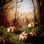 Spiced pumpkin rolls