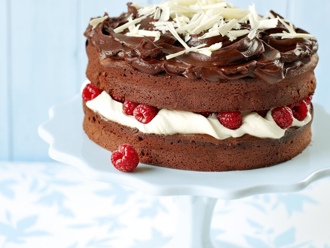 Delia Smith Chocolate Cheesecake Recipe