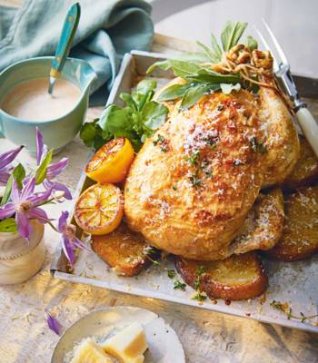 Million-dollar chicken