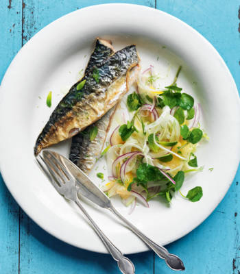 Roasted mackerel with fennel, red onion and apricot salad