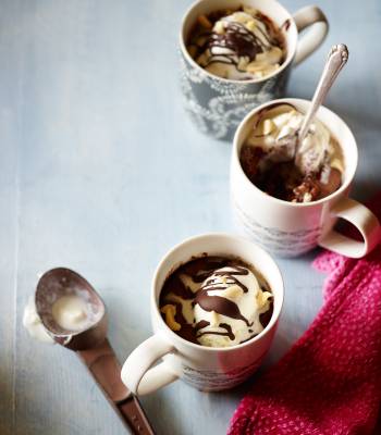 Chocolate and peanut butter mug cake