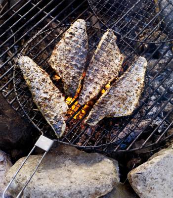 Campfire roast fish with lemon and fennel