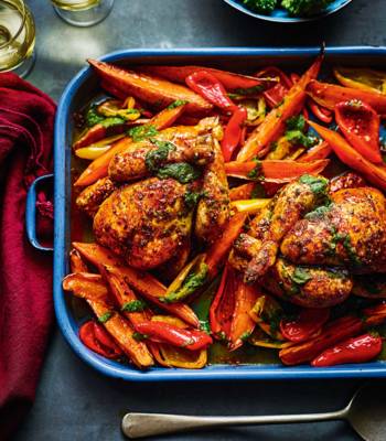 Peri peri poussins with coriander salsa