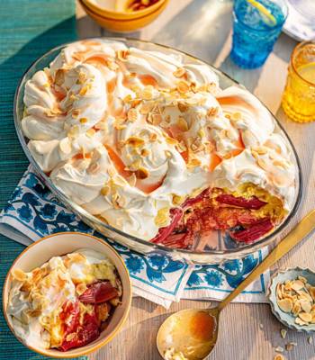 Rhubarb and custard trifle