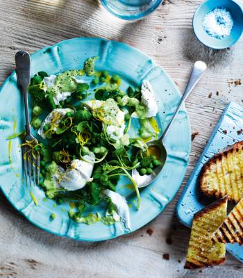 Buffalo mozzarella and pea salad 