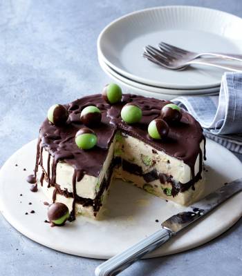 Mint drizzle ice cream cake with brownie layers