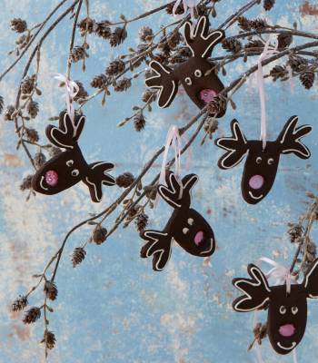 ‘Rudolph’ chocolate gingerbread biscuits 