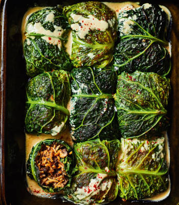 Mushroom cabbage rolls