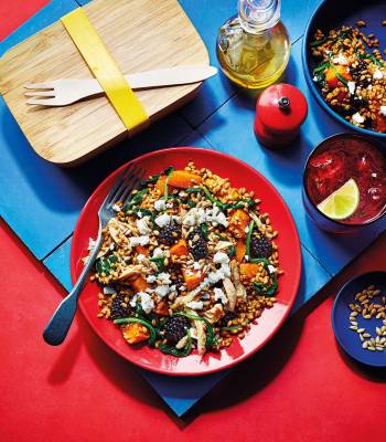 Chicken, squash and blackberry spelt salad