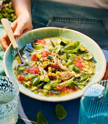 Chicken succotash broth