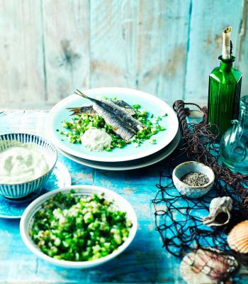 Sardines with cucumber salsa verde salad and garlic mayonnaise