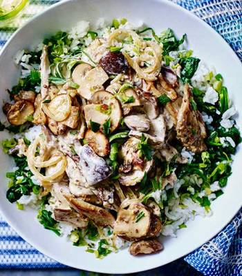 Mustardy mushroom stroganoff